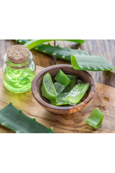 Aloe Vera Mum Esansı, Mum Esansı