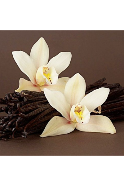 Vanilya Mum Esansı, Mum Esansı